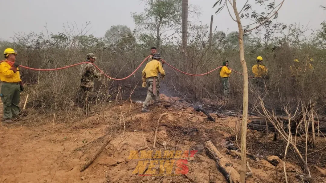El fuego vuelve a reactivarse y avanza rápidamente en el cerro Chovoreca