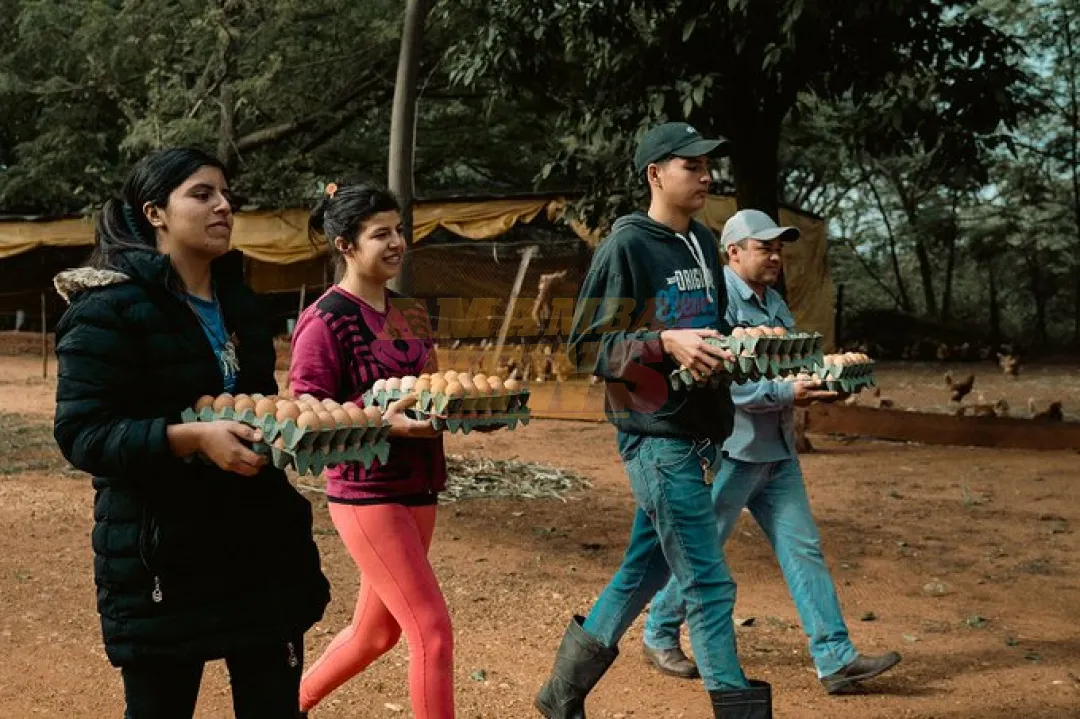 El Día del Emprendedor Paraguayo: celebrando el coraje y la innovación que transforman vidas