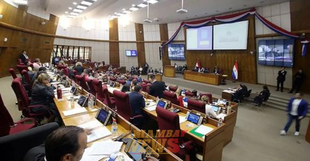 Ley de control a ONG en agenda de Diputados este martes