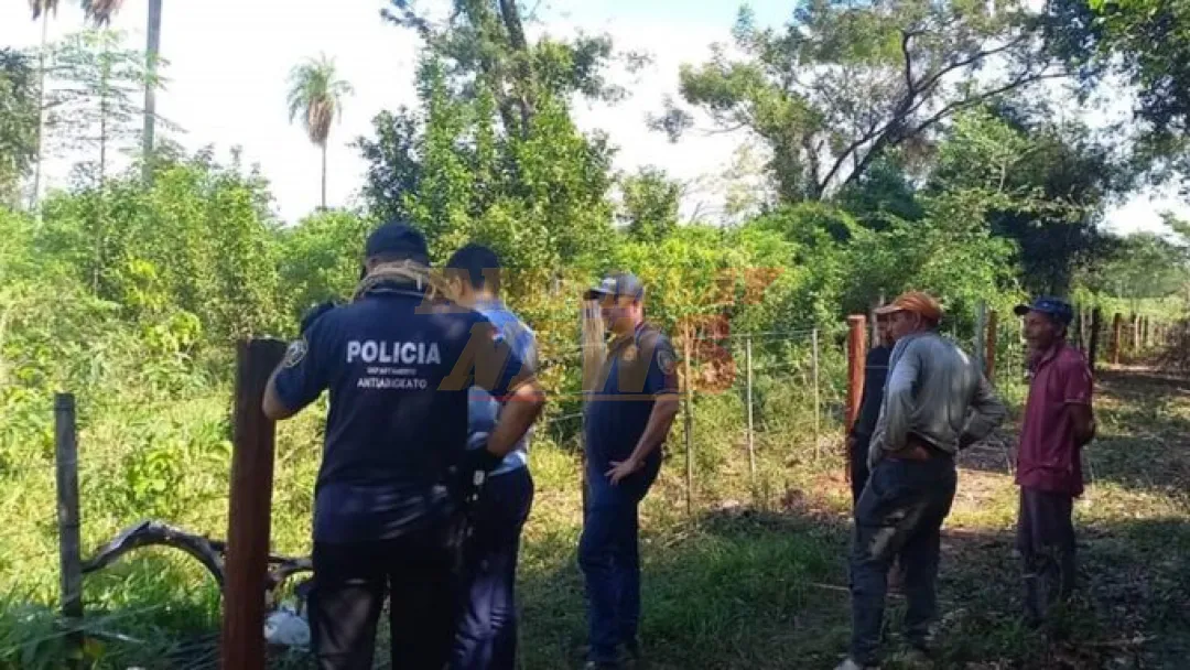 Abigeato golpea a humilde productor de Concepción