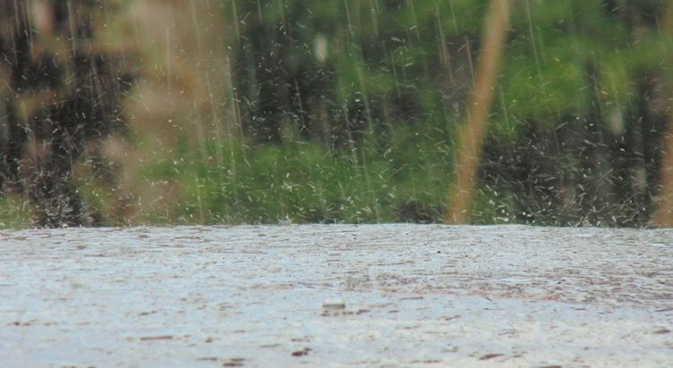 Lluvias y tormentas continúan el día de hoy