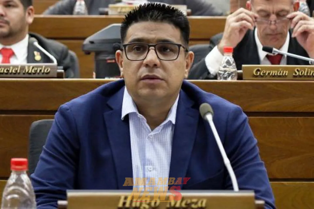 Ley “antipollada” será temporal mientras se busca reactivar el seguro obligatorio