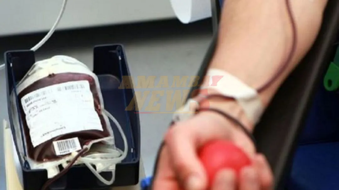 Día Mundial del Donante de Sangre: Los requisitos para un acto de amor y solidaridad