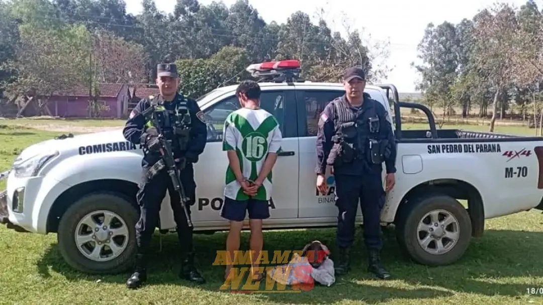 Robó y faenó el chancho de su vecina