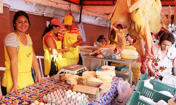 Feria de fin de año frente al Indert: colonos expondrán sus productos por tres días