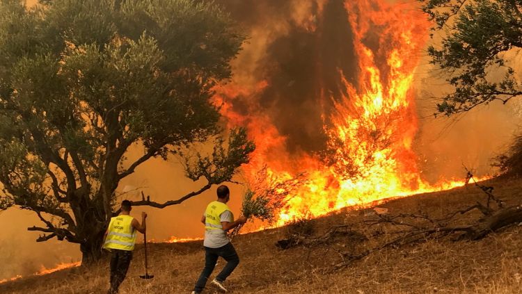 Arrestan a 22 personas en relación con los masivos incendios en Argelia