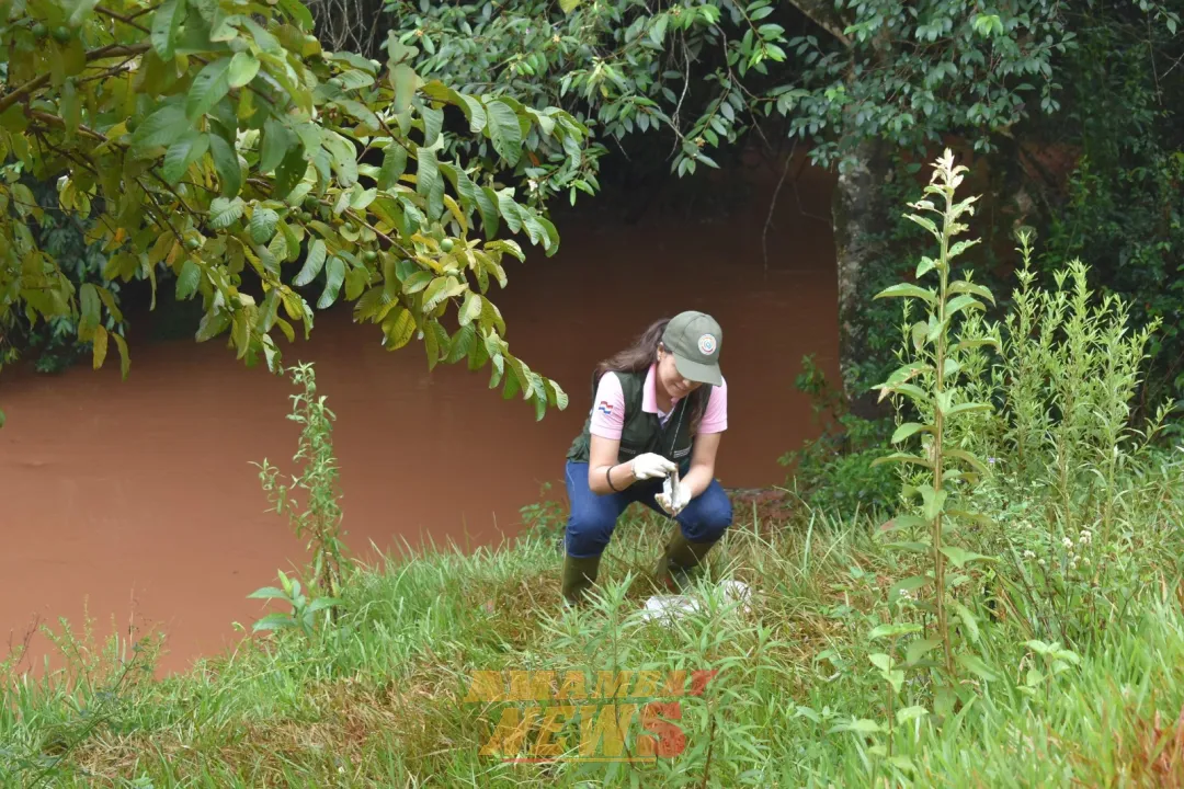 Premio Nacional de Periodismo Ambiental 2024: una agenda para combatir la crisis climática en Paraguay