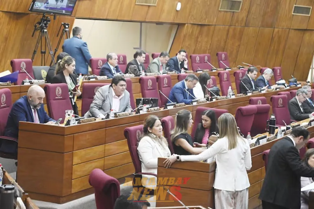 Diputados sanciona reprogramación de G. 3.500 millones para “jubilación vip”