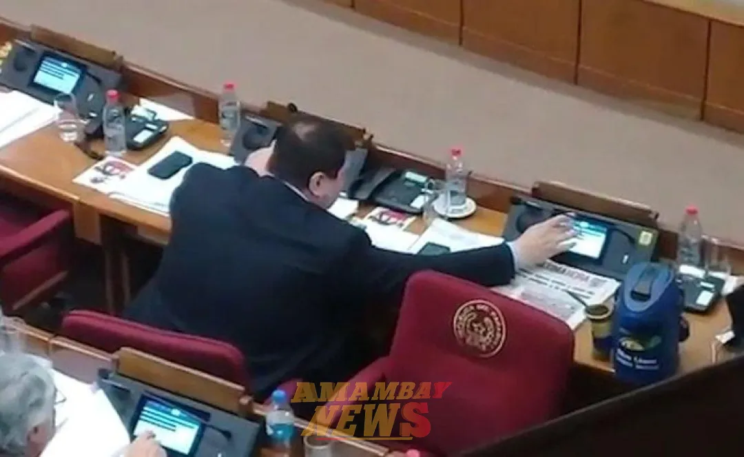 Diputados opositores piden a Dionisio Amarilla que comisión garrote también investigue a la Opaci