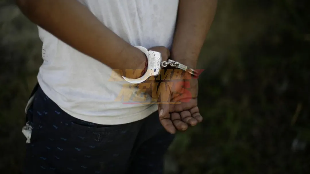 Colombia extradita a Estados Unidos a 13 personas relacionadas con el narcotráfico