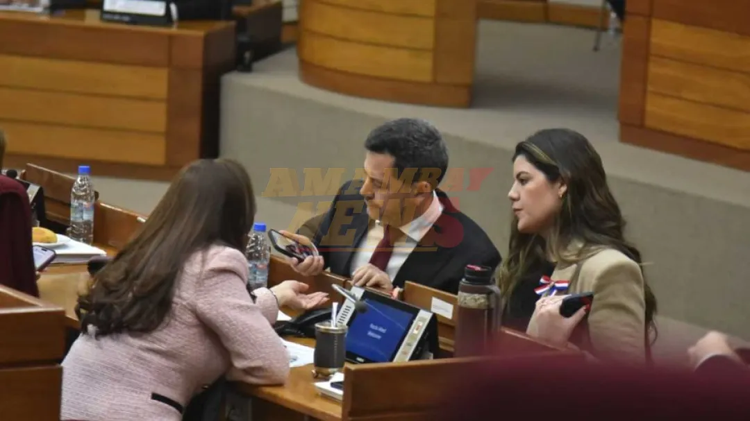 Diputados analizarán este miércoles pedidos de intervención para CDE y Asunción