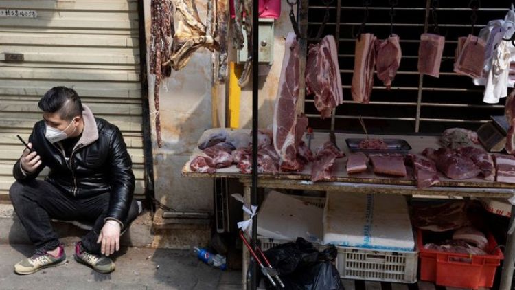 OMS pide suspender la venta de animales salvajes en mercados