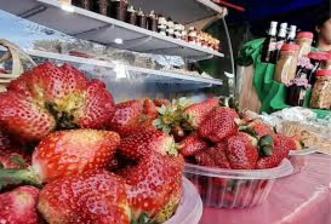 Lo más esperado del año: ¡La Expo Frutilla de Areguá y Estanzuela!