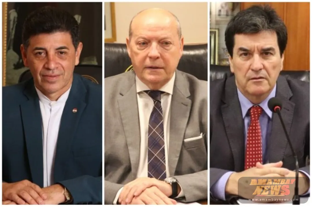 Pavo Real: Sala Constitucional rechaza excepción con reprimenda a jueces que no controlan admisibilidad
