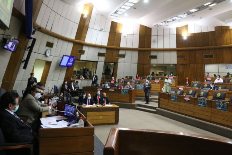 Diputados crean una comisin especial de control de la Ley "Covid Gasto Cero"