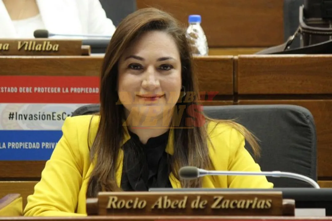 Diputada Rocío Abed descarta posible división de la bancada de HC