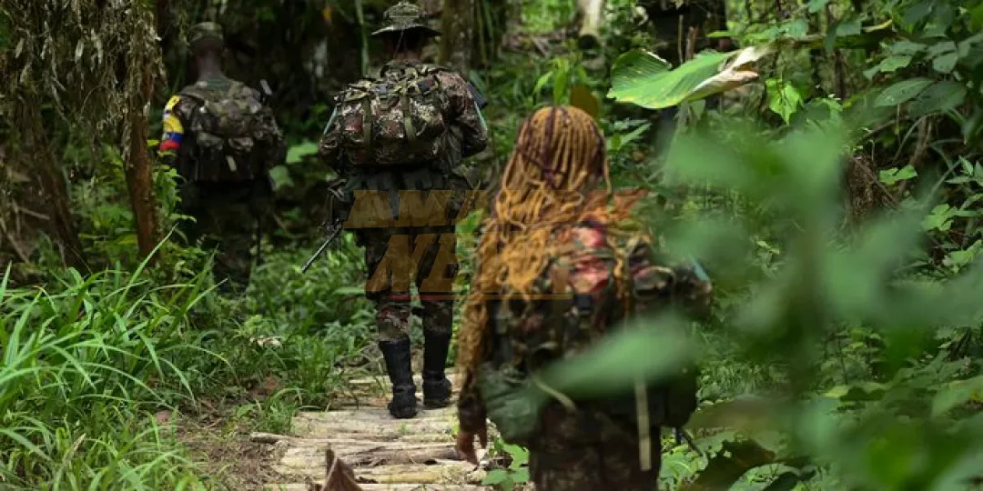 Aumenta a 80 cifra de muertos por choques entre guerrillas en noreste de Colombia