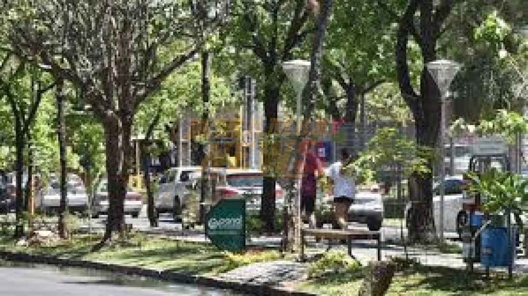 Lunes con tiempo caluroso, elevada humedad en el ambiente y lluvias