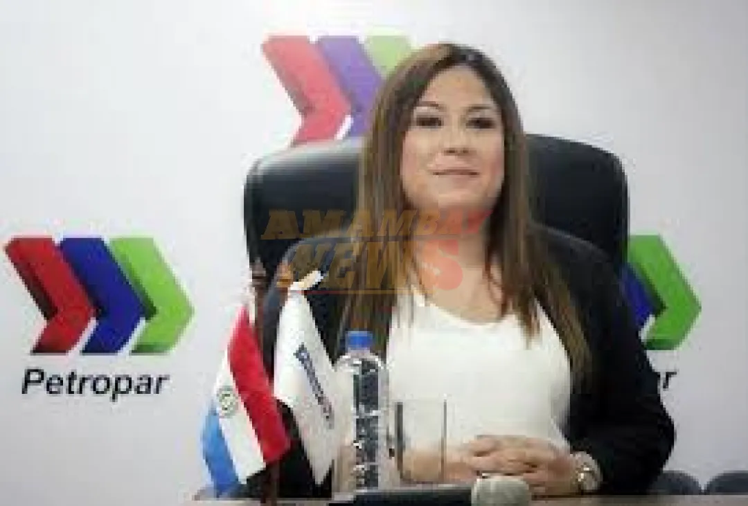 Patricia Samudio incurrió en vía errónea para impugnar providencias no originarias de Cámara, según Sala Penal