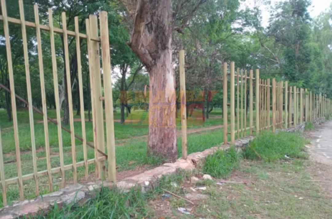 Inseguridad en el Jardín Botánico preocupa a vecinos y visitantes