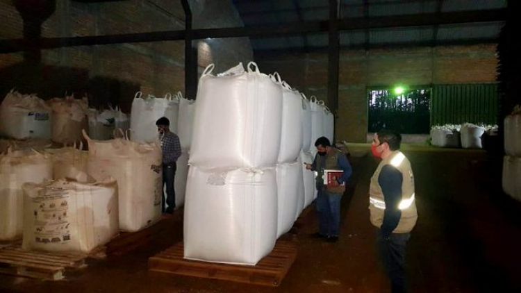 Senave retuvo más de 500 toneladas de semillas de soja en Alto Paraná
