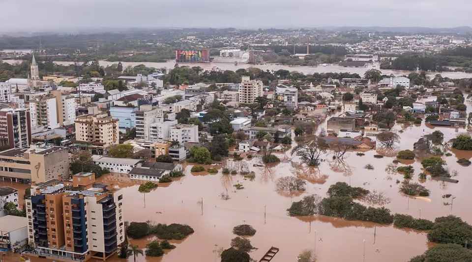 Las inundaciones en Brasil provocaron la muerte de casi 30 mil animales