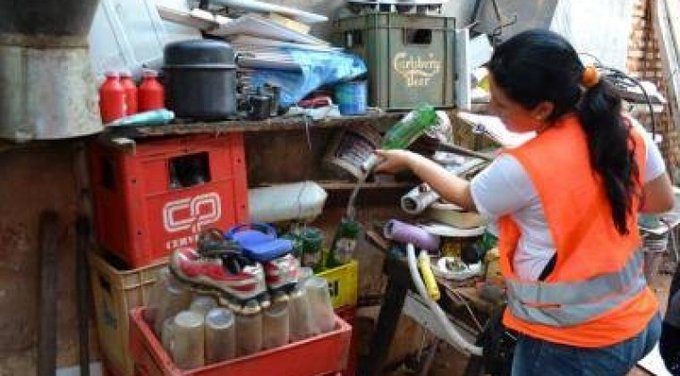 Más del 90 % de las casas visitadas por Senepa, tiene criaderos de mosquito