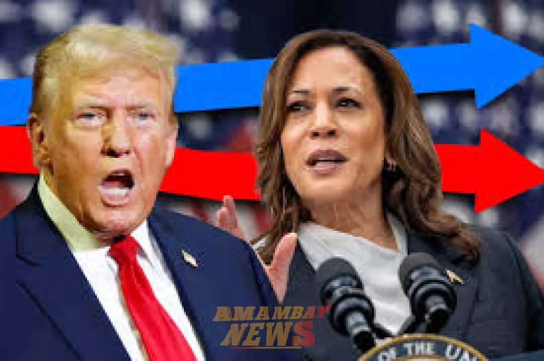 Votantes latinos prefieren a Harris para la presidencia de EEUU, según encuesta