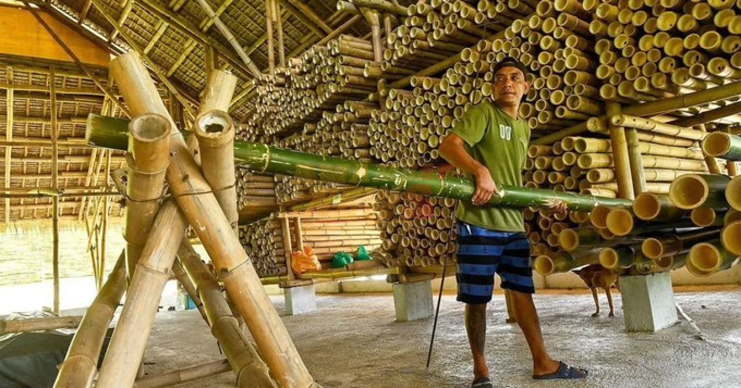 Cómo el bambú, usado durante milenios en Sudamérica, está revolucionando la construcción antisísmica