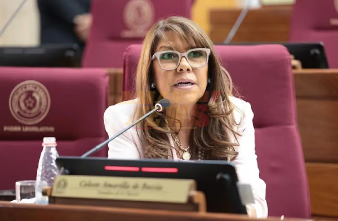 Oposición busca pruebas para destituir a Noelia Cabrera