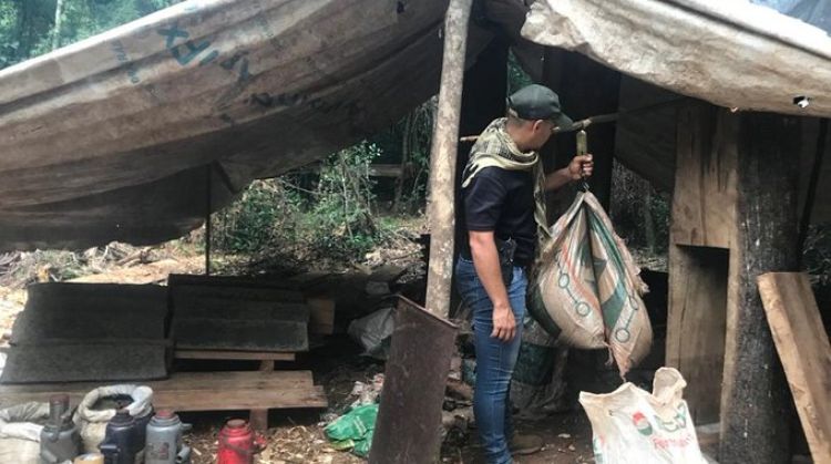 SENAD anuló campamento narco dentro del Parque Nacional San Rafael
