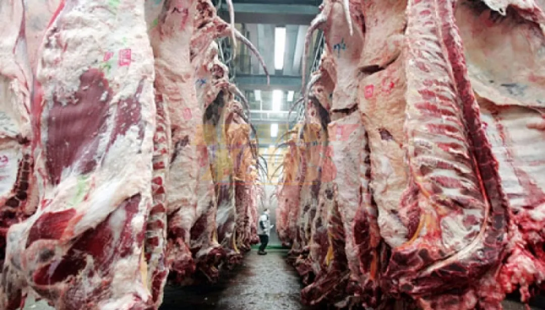 Diputados impulsan proyecto de ley para regular «calidad de carne» en el mercado interno