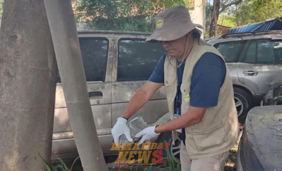 Minga ambiental en Asunción para combatir al dengue, Zika y chikungunya