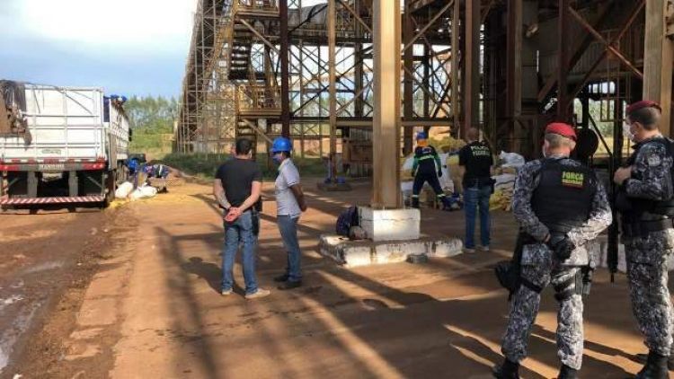 Justicia ordena destruir marihuana de la mayor incautación de Brasil y que salió de Ponta Porã