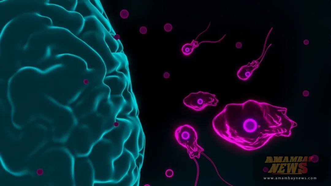 Un niño, en estado crítico tras infectarse con una ameba 'comecerebros' en Israel