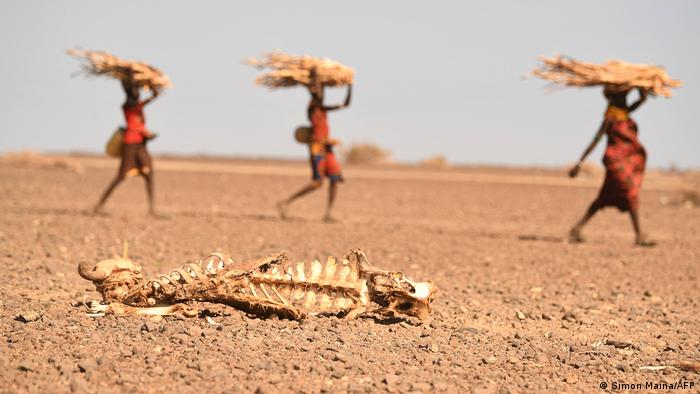 Cada 4 segundos un ser humano muere de hambre en el mundo