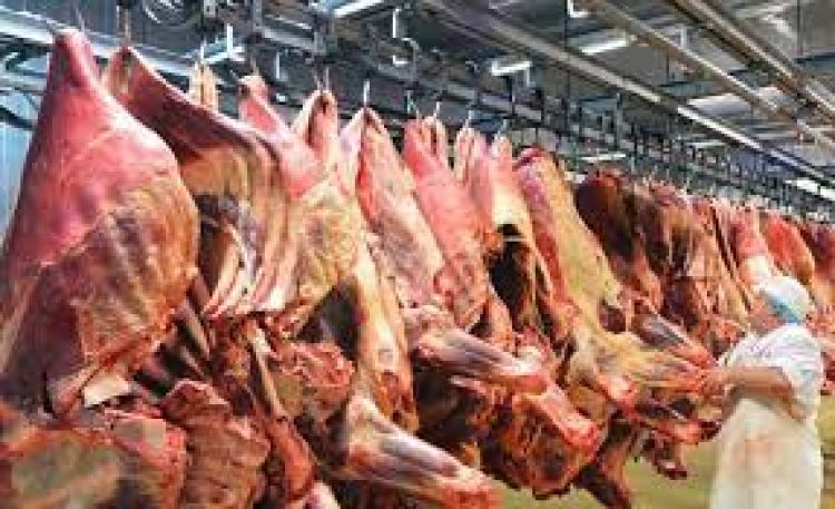 Paraguay registra un nuevo récord de exportación de carne bovina
