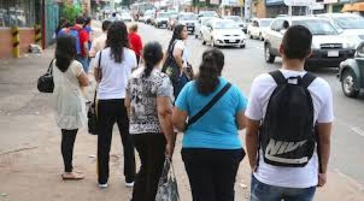 Cancelan itinerario a empresa de transporte e inician sumario a otras dos