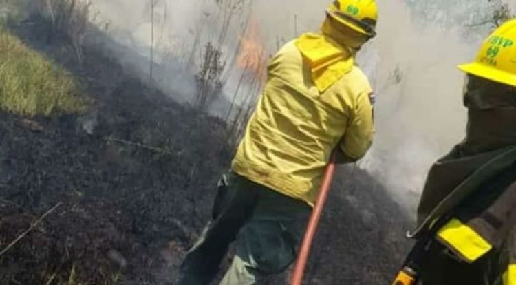 Reportan descontrolado incendio de gran magnitud en Altos