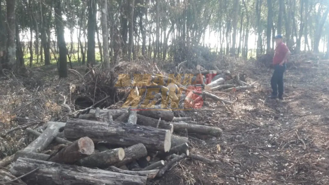 Detienen a brasilero por delitos contra el medio ambiente en La Paloma