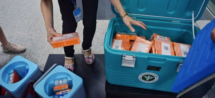 Vacuna CoronaVac reduce mortalidad por Covid-19 en 97% contra 80% de Pfizer, según estudio