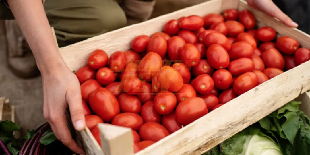Los precios del tomate se incrementan entre un 64% y un 118%