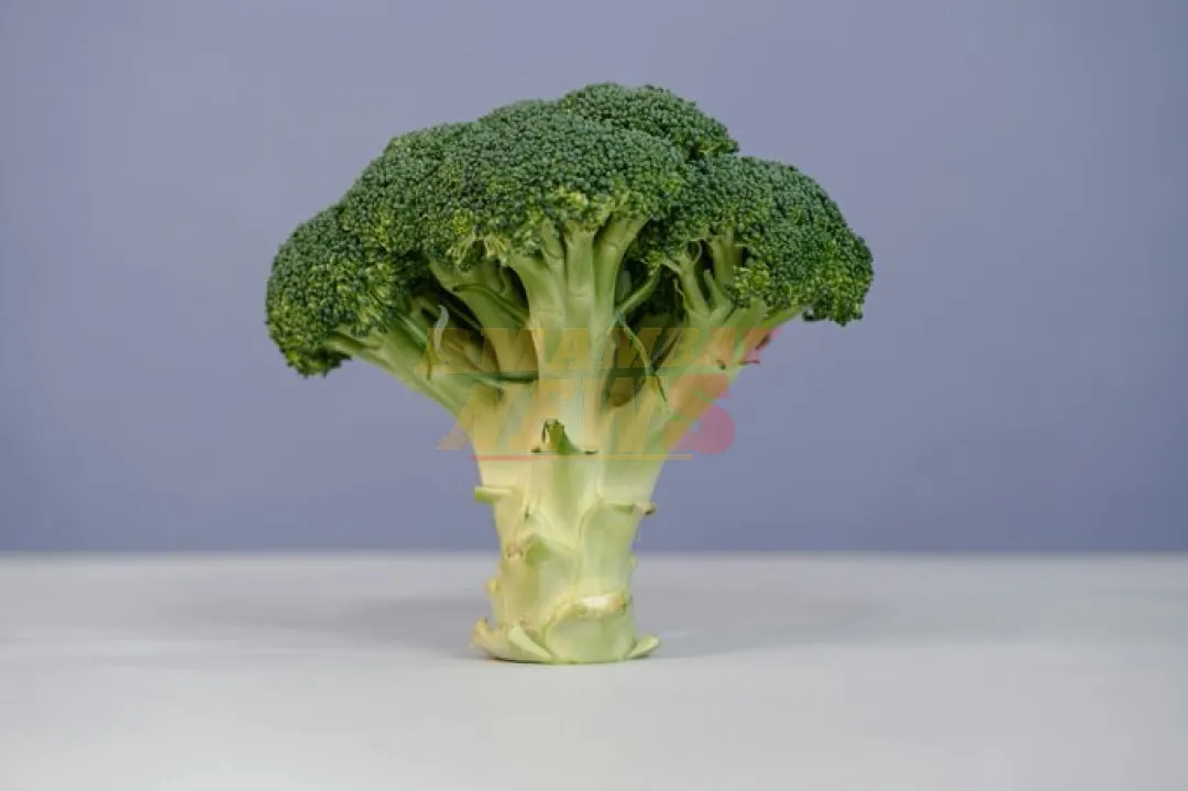 Brócoli y diabetes