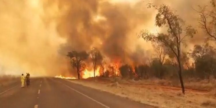 Infona reporta más de 1.000 focos de calor a nivel país