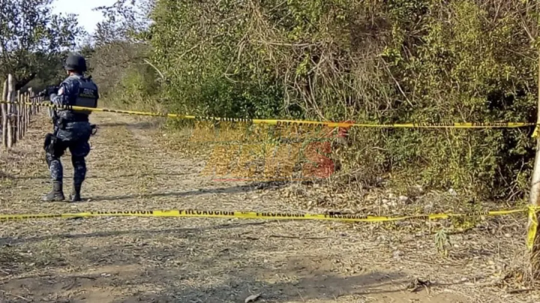 México: Hallan seis torsos completos en fosas dentro de un rancho en Reynosa