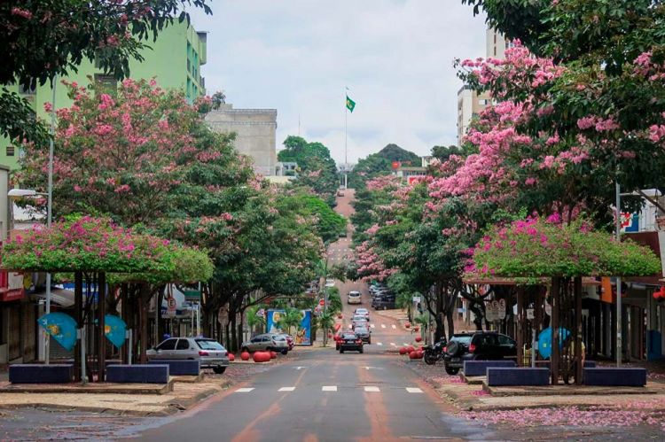 Toque de queda en Foz de Iguazú: exigirán PCR negativo al COVID para el ingreso a la ciudad