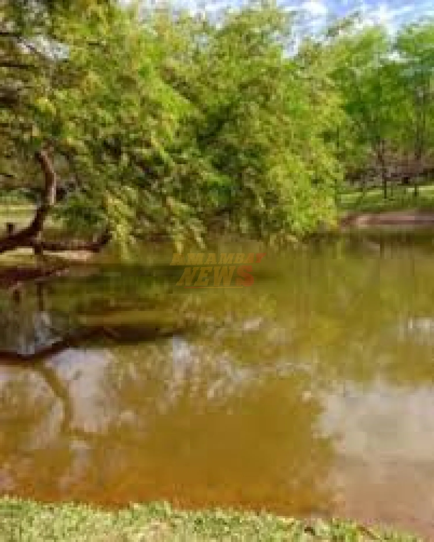 Niño de 3 años fallece ahogado en una laguna en Ciudad del Este