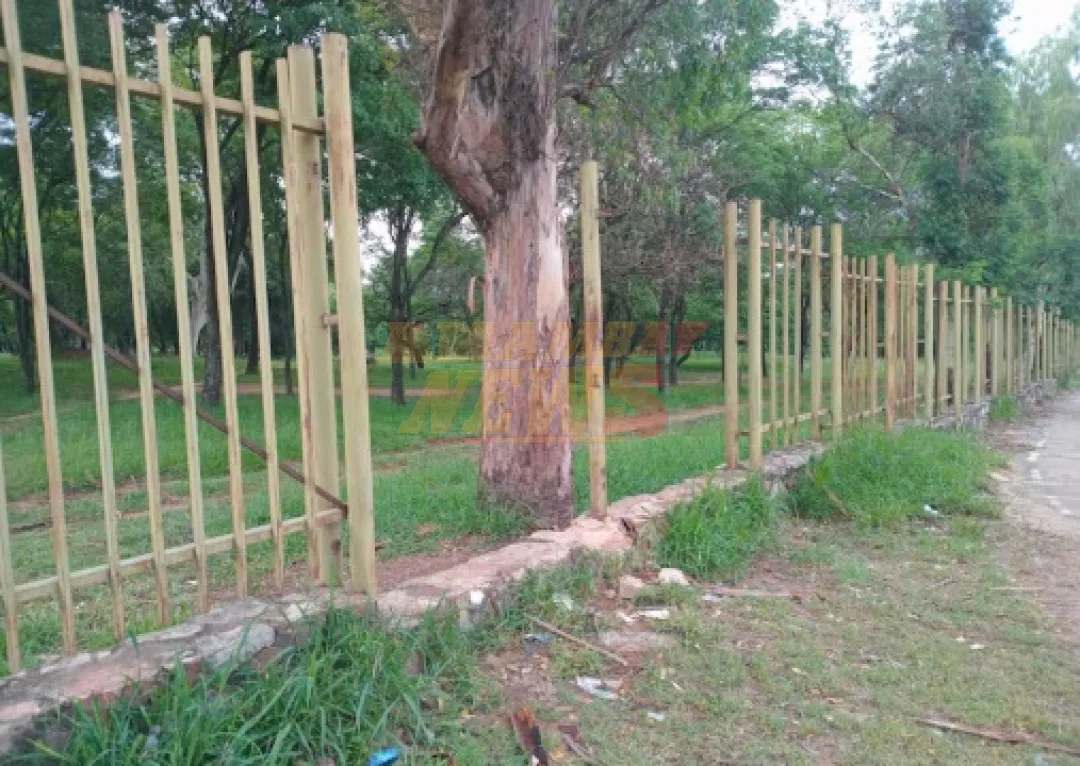 Abandono y deterioro amenazan al Jardín Botánico