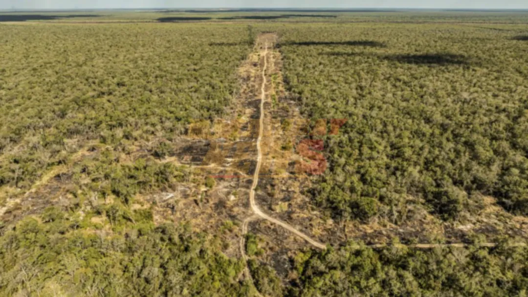 Investigación relata sobre narcopista que operaba en el Chaco paraguayo