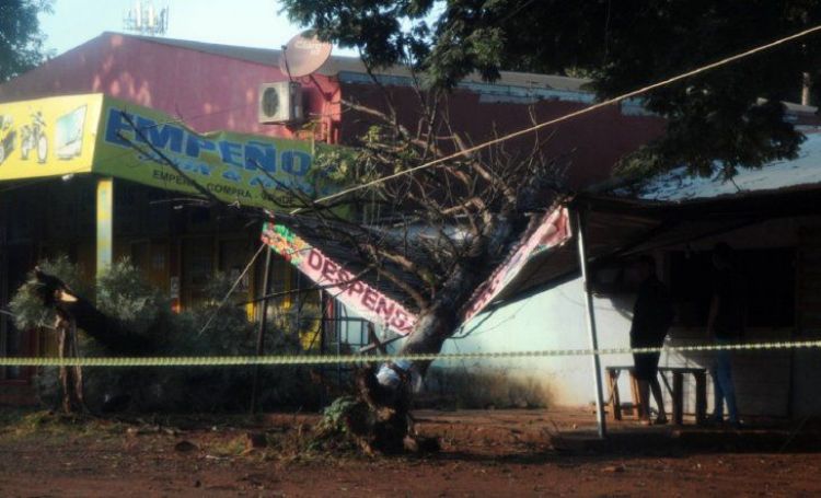 Tormenta deja a su paso árboles caídos y corte de luz en Ciudad del Este